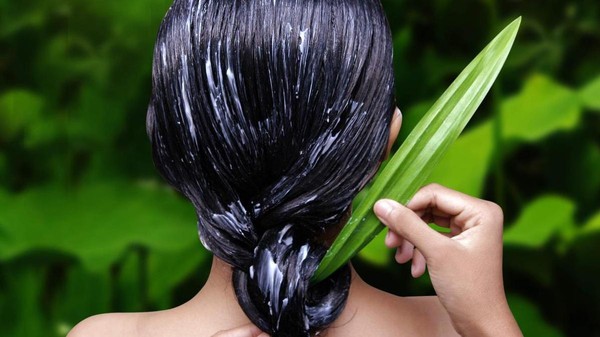 Репейная маска для волос: способы приготовления